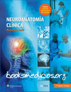 downacademia.com neuroanatomia-clinica-snell-7a-edicion-booksmedicos