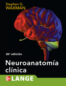 kupdf.net neuroanatomia-clinica-waxman