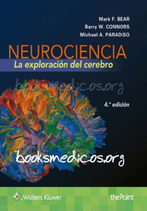 Neurociencia.-La-exploración-del-cerebro-4ª-Ed.-Bear-Connors-Paradiso