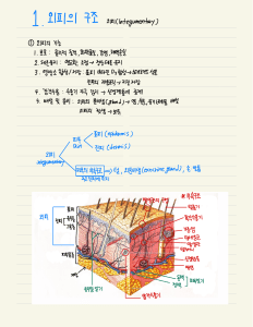 5)외피계통 정리