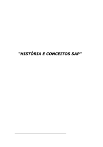 Historia e Conceitos SAP