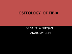 ANATOMY OF TIBIA For 1st Year MBBS/MD students