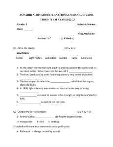 3rd term exam paper A Grade 5