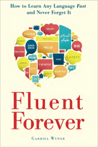 Fluent-Forever-Chapter-1
