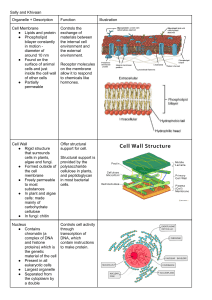 Organelle Tables