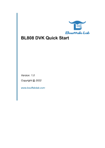 BL808.DVK.Quick.Start