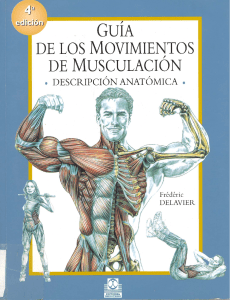 Guia de Los Movimientos de Musculacion  ( PDFDrive )