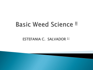 Complete review Basic Weed Science