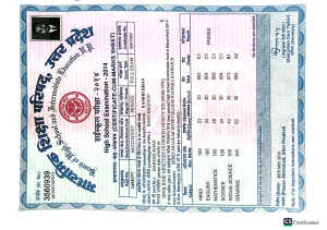 Education certificate