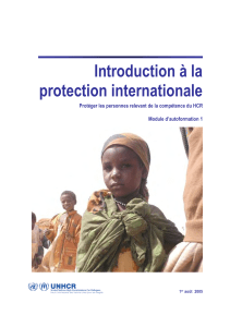 Introduction Protection Internationale