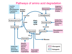 Amino acid metCl 5  GLUCOGENIC
