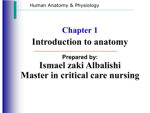 Chapter 1 Introduction to anatomy