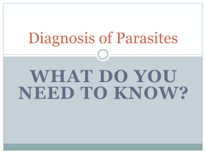 Diagnosis-of-Parasites