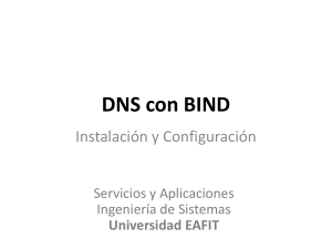 DNS-Con-Webmin