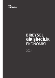 Bireysel Girisimcilik Ekonomisi 2021 Raporu