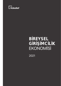 Bireysel Girişimcilik Ekonomisi 2021 Raporu