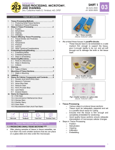 Tissue Processing, Microtomy, and Staining Lecture Notes