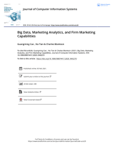 Big Data, Marketing Analytics, and Firm Marketing Capabilities