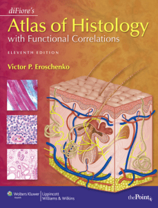 Atlas of Histology - DiFiore