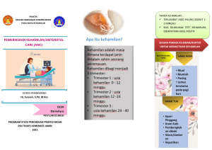 3. LEAFLET STASE 3