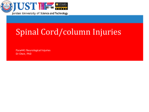 10PARA441 Spinal Column-Cord 11-11