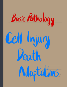 Basic Pathology Cell Injury