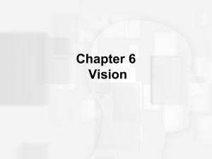 Chapter 6 - Vision