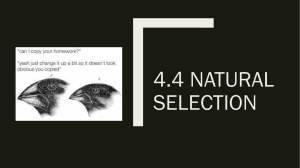4.4 Natural Selection