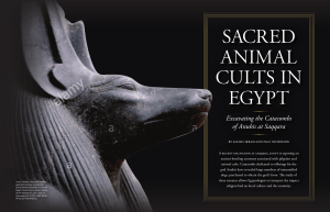 Sacred Animal Cults in Egypt Excavating