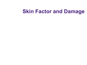 Part IV - Skin factor and Damage - continuation