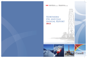 Northern Oil&Gas-Report-2012