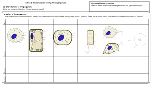 Biology Worksheet: Organisms, Cells, Molecules, and Systems