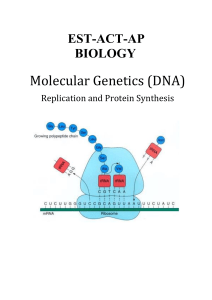 BioEST-ACT-Molecular Genetics(DNA)