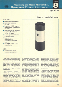 Bruel&Kjaer Calibrator Sound Level 4230