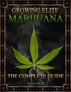 Growing Elite Marijuana ( PDFDrive )