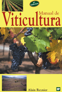 ALAIN REYNIER - Manual de Viticultura-Ediciones Mundi-Prensa (2012)