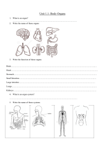 Unit 1.1- Body Organs - work sheet