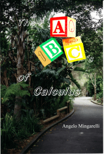 ABC Calculus Vol1 angelomingarelli