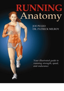 pdfcoffee.com running-anatomy-pdf-free