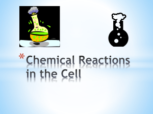 Chemical Reactions in the Cell