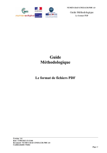 Guide méthodologique - Le format fichier pdf