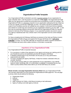 Organizational-Profile-Template-FINAL