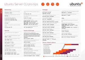 Ubuntu.server.cli.pro.tips