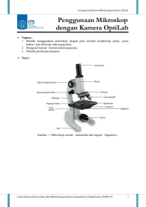 MODUL 1 - Penggunaan Mikroskop