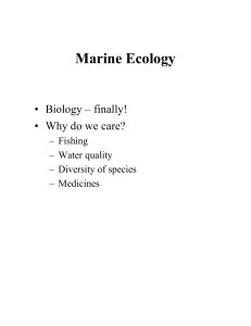 marine ecology lecture