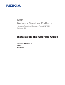 3HE15111AAAATQZZA V1 NSP NFM-P 19.3 Installation and Upgrade Guide