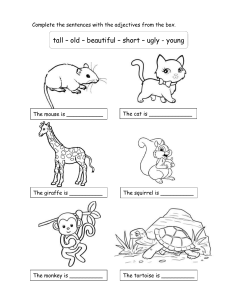 animals-and-adjectives-for-children-2-picture-description-exercises 91471 (1)