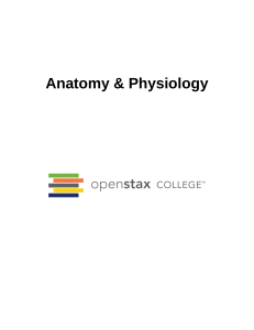 AnatomyAndPhysiology-LR