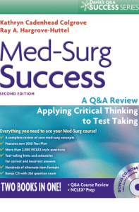 Med-Surg Success 3nd Thinking to Test Taking PDF Instant Download