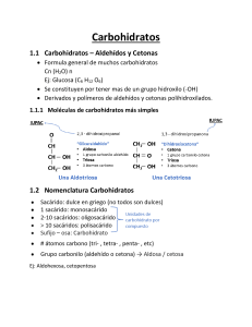 Carbohidratos 11A